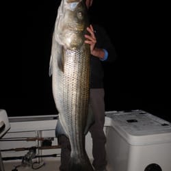 Reel Cast Charters