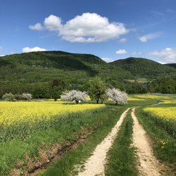 Seeterassen Caffee Restaurant am Happurger Stausee - Weg zum See
