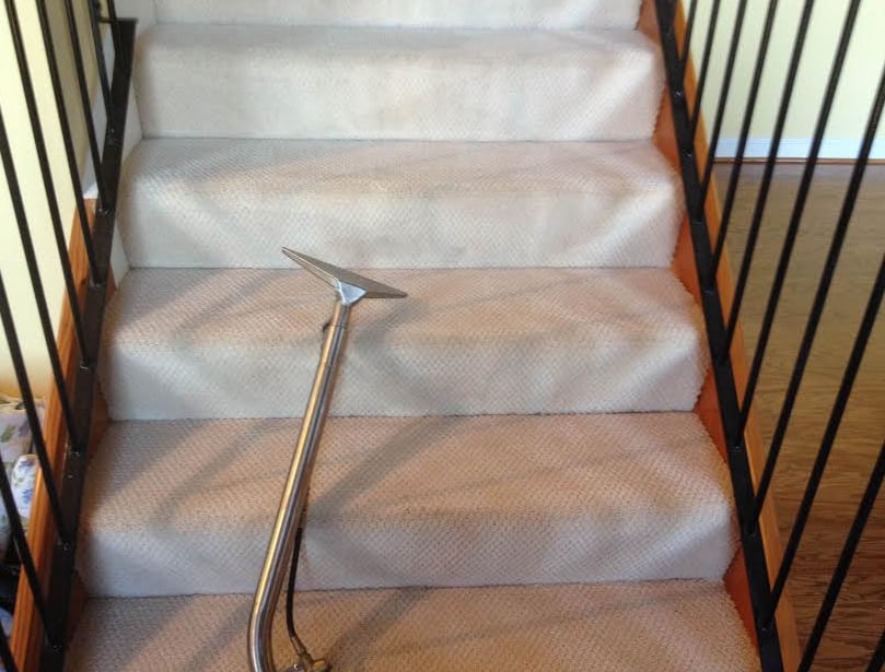 EASY CLEAN CARPET & UPHOLSTERY CLEANING COMPANY Updated August 2024