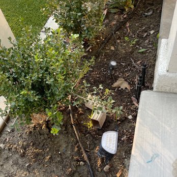 TPS Landscaping - Landscaping Near Me TPS Landscaping - Landscaping Near Me