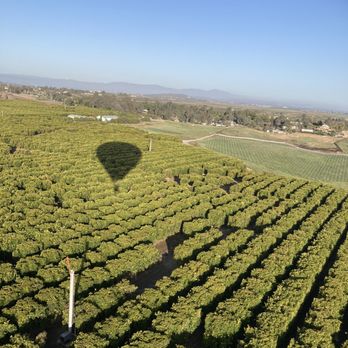 Grape Escape Balloon Adventures - Our shadow during flight. - Tours Near Me - Temecula, California Grape Escape Balloon Adventures - Our shadow during flight. - Tours Near Me - Temecula, California