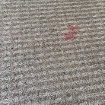 The Crockett Hotel - Carpet was stained - Hotels Near Me - San Antonio, Texas