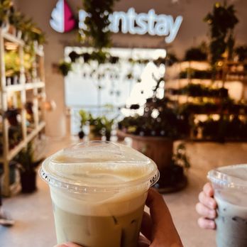 108 vine - Coffee & Tea Near Me - Gainesville, Florida
