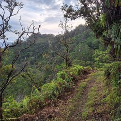 Poamoho Ridge Trail - Ridge walks