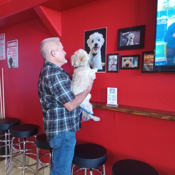 Tom's Doghouse - Hot Dogs Near Me - Bullhead City, Arizona Tom's Doghouse - Hot Dogs Near Me - Bullhead City, Arizona
