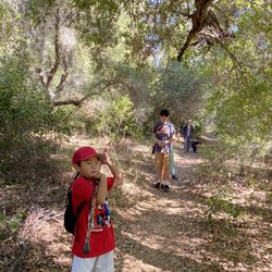 Morgan Trail - Lots of oak trees for a quick shady hike.