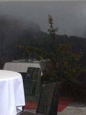 Ellauri Hotela by null