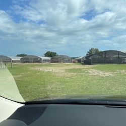Lamb's Nursery - View from parking area