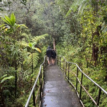 Akaka Falls State Park - Stairs - Parks Near Me - Honomu, Hawaii