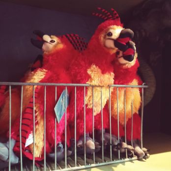 Magical Menagerie - Toy Stores Near Me - Orlando, Florida Magical Menagerie - Toy Stores Near Me - Orlando, Florida