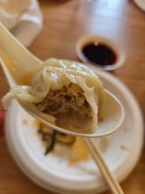 Luscious Dumplings by null