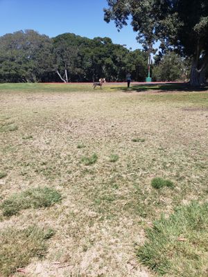 Golden Hill Park by null