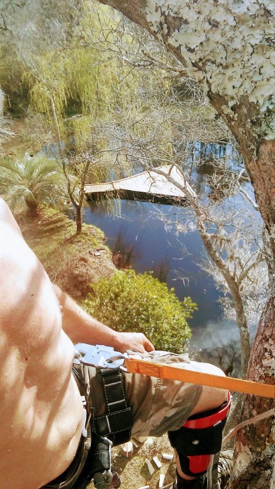 TREE TOP CLIMBER 1422 Sound Retreat Dr, Navarre, Florida Tree