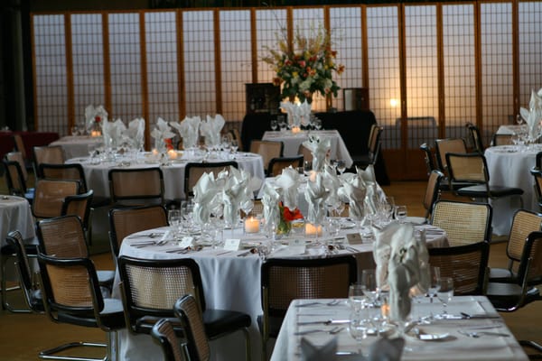 Institute for Advanced Study by null