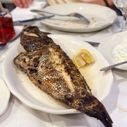 Black Sea Bass