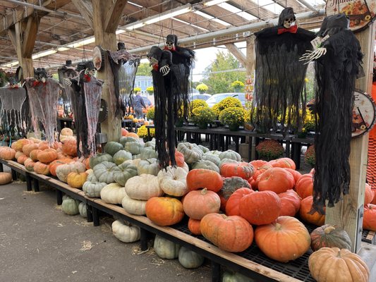 Calareso's Farm Stand & Garden Center by null