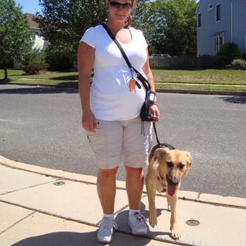 Dogs Gone Walking - Dog Walkers Near Me Dogs Gone Walking - Dog Walkers Near Me