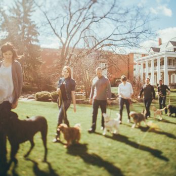Digman Canine Academy - Pet Training Near Me - Port Matilda , Pennsylvania Digman Canine Academy - Pet Training Near Me - Port Matilda , Pennsylvania