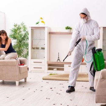 Battlefield Pest Services - Pest Control Near Me - Rossville, Georgia Battlefield Pest Services - Pest Control Near Me - Rossville, Georgia