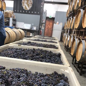 Robert Renzoni Vineyards - Harvesting the grapes, September 2022 - Wineries Near Me - Temecula, California Robert Renzoni Vineyards - Harvesting the grapes, September 2022 - Wineries Near Me - Temecula, California