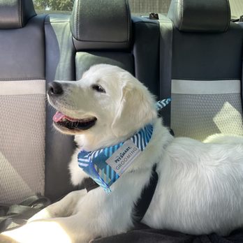 PetSmart - Pet Stores Near Me - Manteca, California