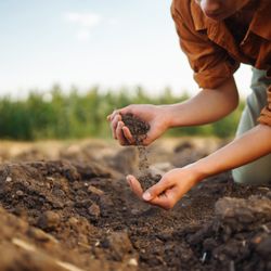 Get friendly, expert advice to help your Utah garden thrive.