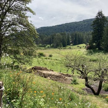 Salt Spring Wild Cider - a view of a meadow with wildflowers - Cideries Near Me - Salt Spring Island, British Columbia