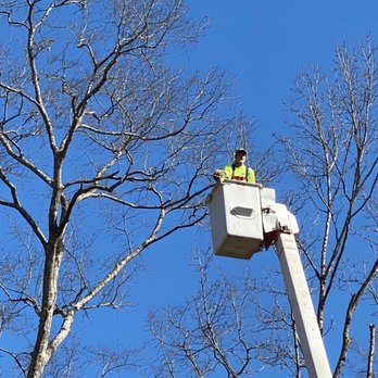 Myers Tree Service - Tree Services Near Me Myers Tree Service - Tree Services Near Me