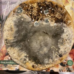 Pizza Pizza