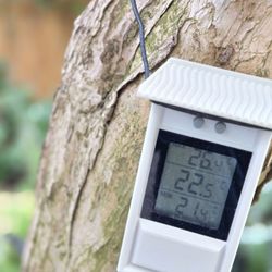 Bloedel Conservatory - Temperature