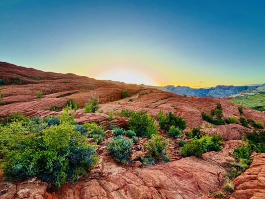 Snow Canyon State Park by null