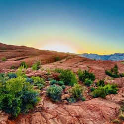 Snow Canyon State Park - Sunset