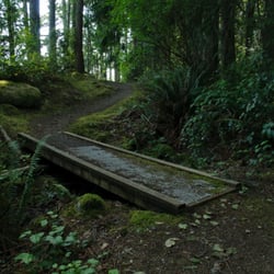 Saltery Bay Provincial Park - Little bridge along the mermaid trail