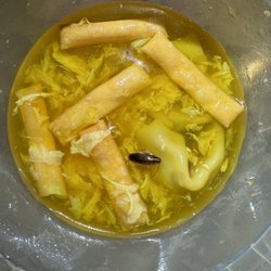 This is a roach in my 34. Egg Drop Soup I got delivered Don't eat here. This is nasty.