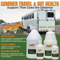 Dynamite Horseman Supply