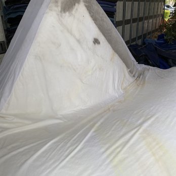 PT Van Lines - Black Mold - Movers Near Me - Las Vegas, Nevada PT Van Lines - Black Mold - Movers Near Me - Las Vegas, Nevada