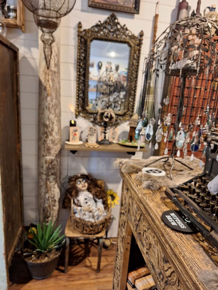 Wild Roots Apothecary & Seed Shop Image