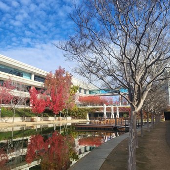 Lakeside Coffee Bar - Location - Coffee & Tea Near Me - San Ramon, California Lakeside Coffee Bar - Location - Coffee & Tea Near Me - San Ramon, California