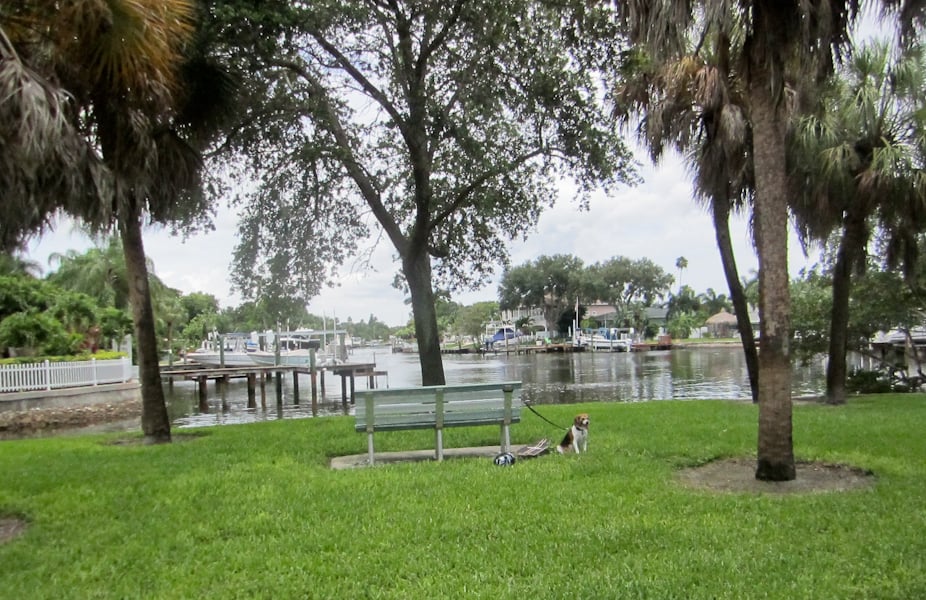 Shore Acres Mini Park Image
