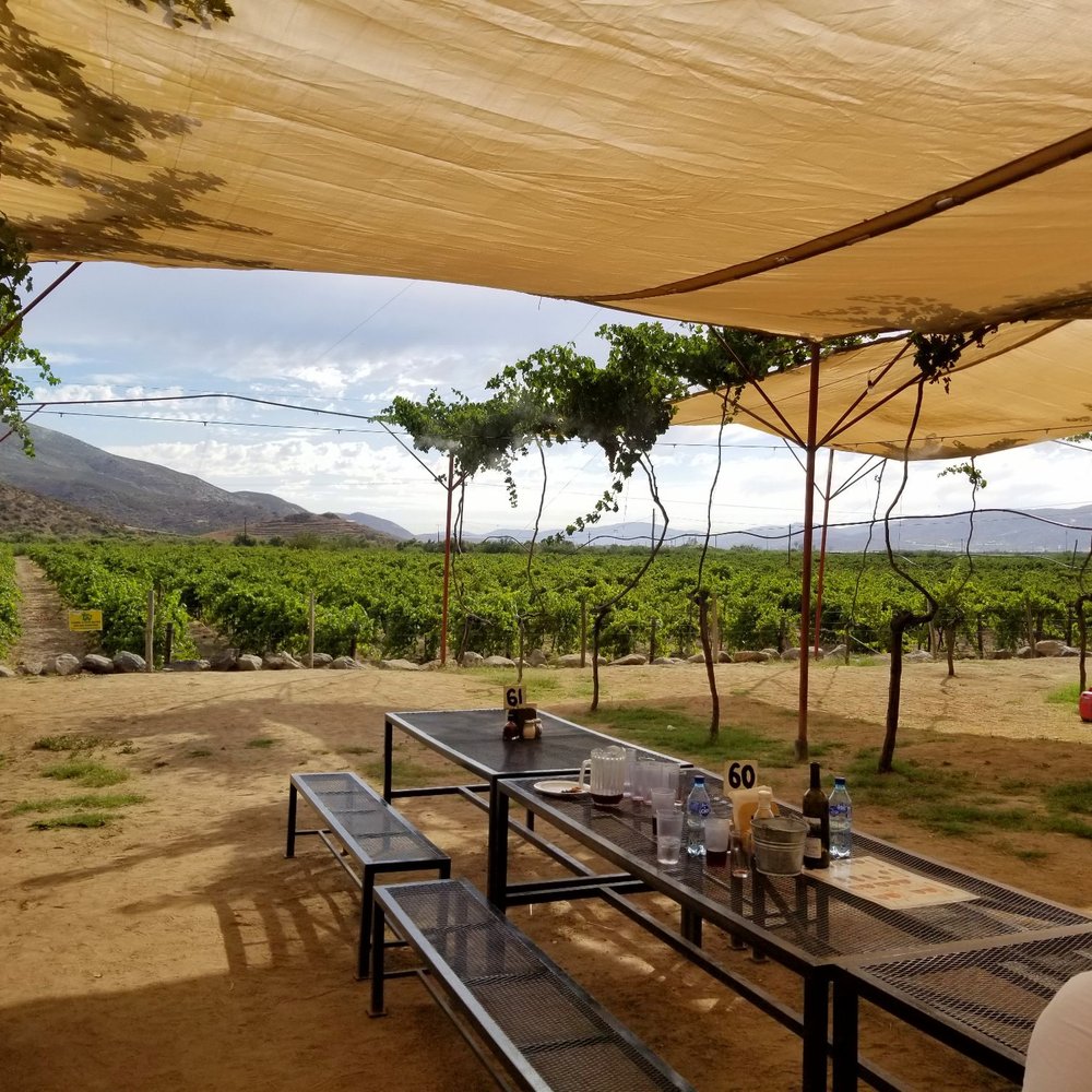 La Casa de Doña Lupe - Wineries Near Me - Ensenada, BCN