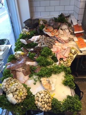 Fin and Flounder by null