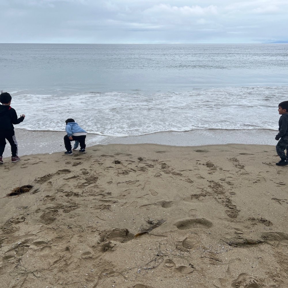 Shari Carroll, DMD - Steps from the beach - Pediatric Dentists Near Me - Redondo Beach, California Shari Carroll, DMD - Steps from the beach - Pediatric Dentists Near Me - Redondo Beach, California