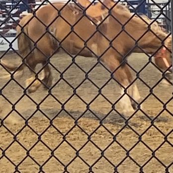 Folsom Pro Rodeo - Rodeo Near Me - Folsom, California