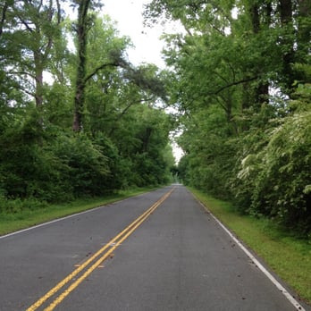 Dismal Swamp Canal Trail - The entire 8.5 mile trail is paved. - Hiking Near Me - Chesapeake, Virginia Dismal Swamp Canal Trail - The entire 8.5 mile trail is paved. - Hiking Near Me - Chesapeake, Virginia