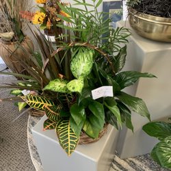 Anna's House of Flowers