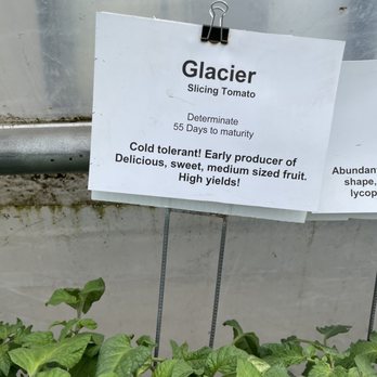 The Gardener's Choice - Nurseries & Gardening Near Me - Tigard, Oregon The Gardener's Choice - Nurseries & Gardening Near Me - Tigard, Oregon