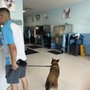 Photo of Dog Lovers Grooming & Self-Serve Dog Wash