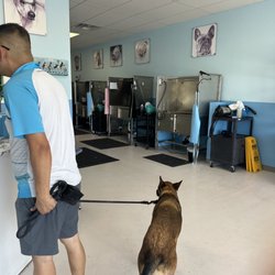 Dog Lovers Grooming & Self-Serve Dog Wash