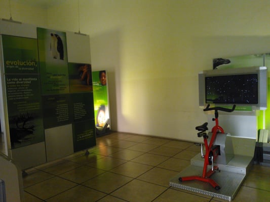 Museo del Palacio Espacio de la Diversidad by null