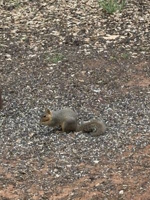 Abilene State Park by null